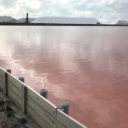 Le Clos Des Vignes Junas Extérieur photo